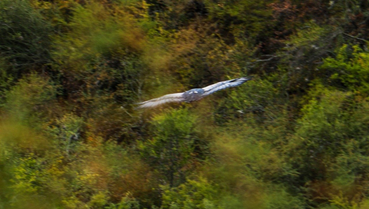 Second slide