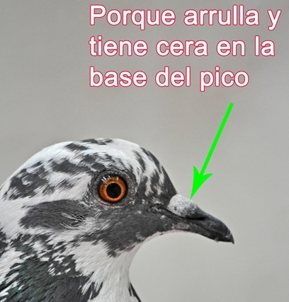Second slide