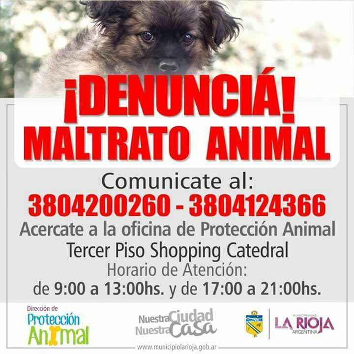 Implacable Colega sombra Habilitan líneas de comunicación para denunciar maltrato animal