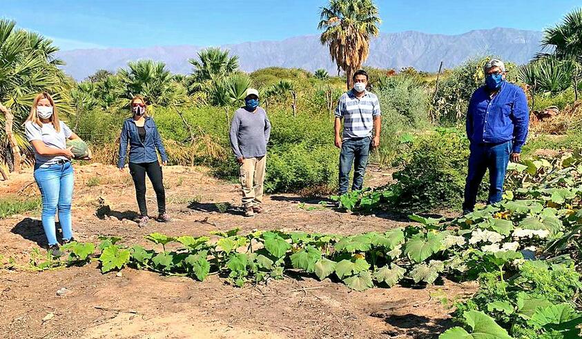 Avanza el programa Huerta en Casa en Arauco