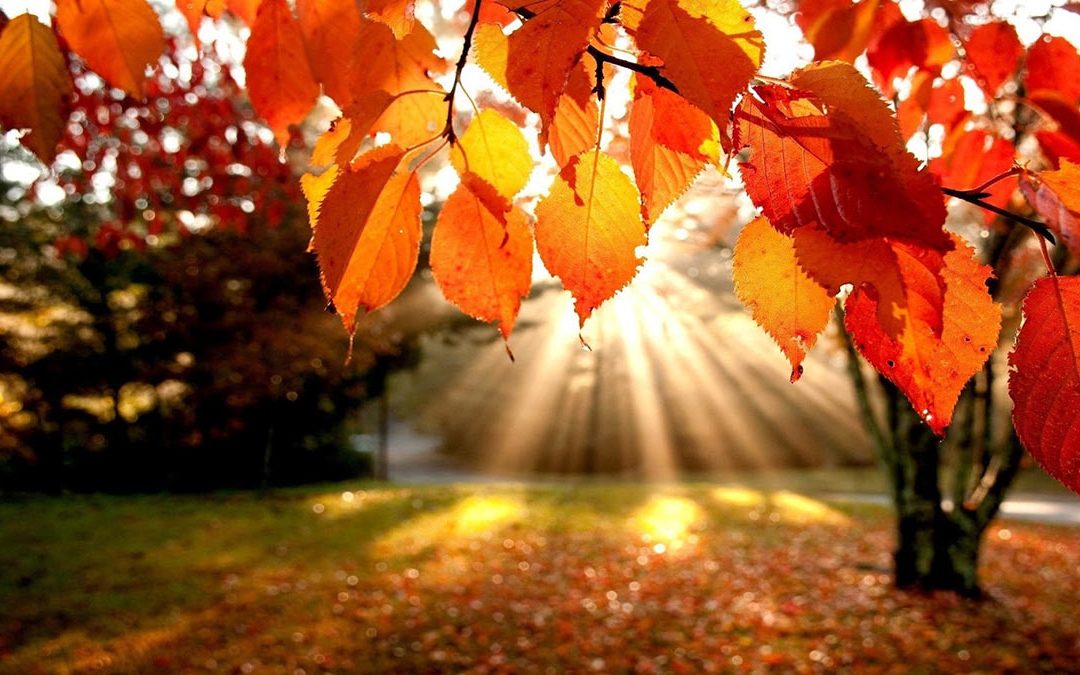 Comienza el otoño y te contamos cómo estará el tiempo el fin de semana