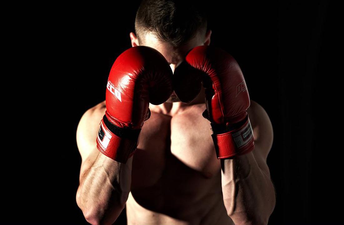 boxer