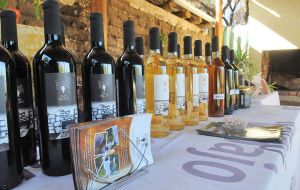 vinos1